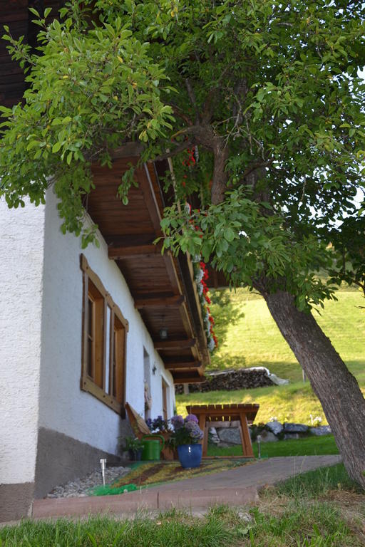 Bauernhof Bachrain Βίλα Taxenbach Εξωτερικό φωτογραφία